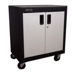 Budget ๐ฅฐ Homak 2 Door Mobile Cabinet W/ Gliding Shelf GS04002270 โจ